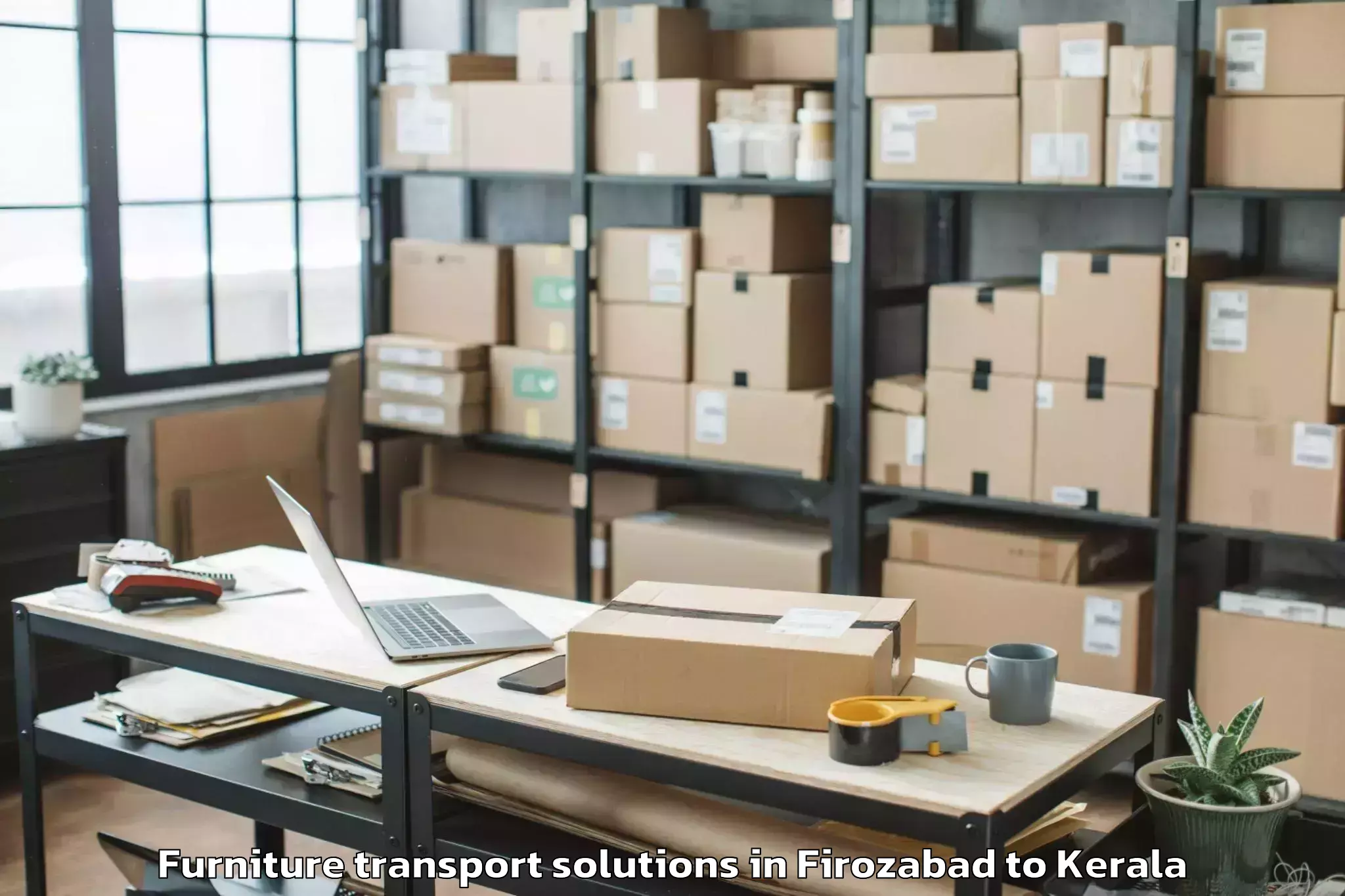 Trusted Firozabad to Karinkallathani Furniture Transport Solutions